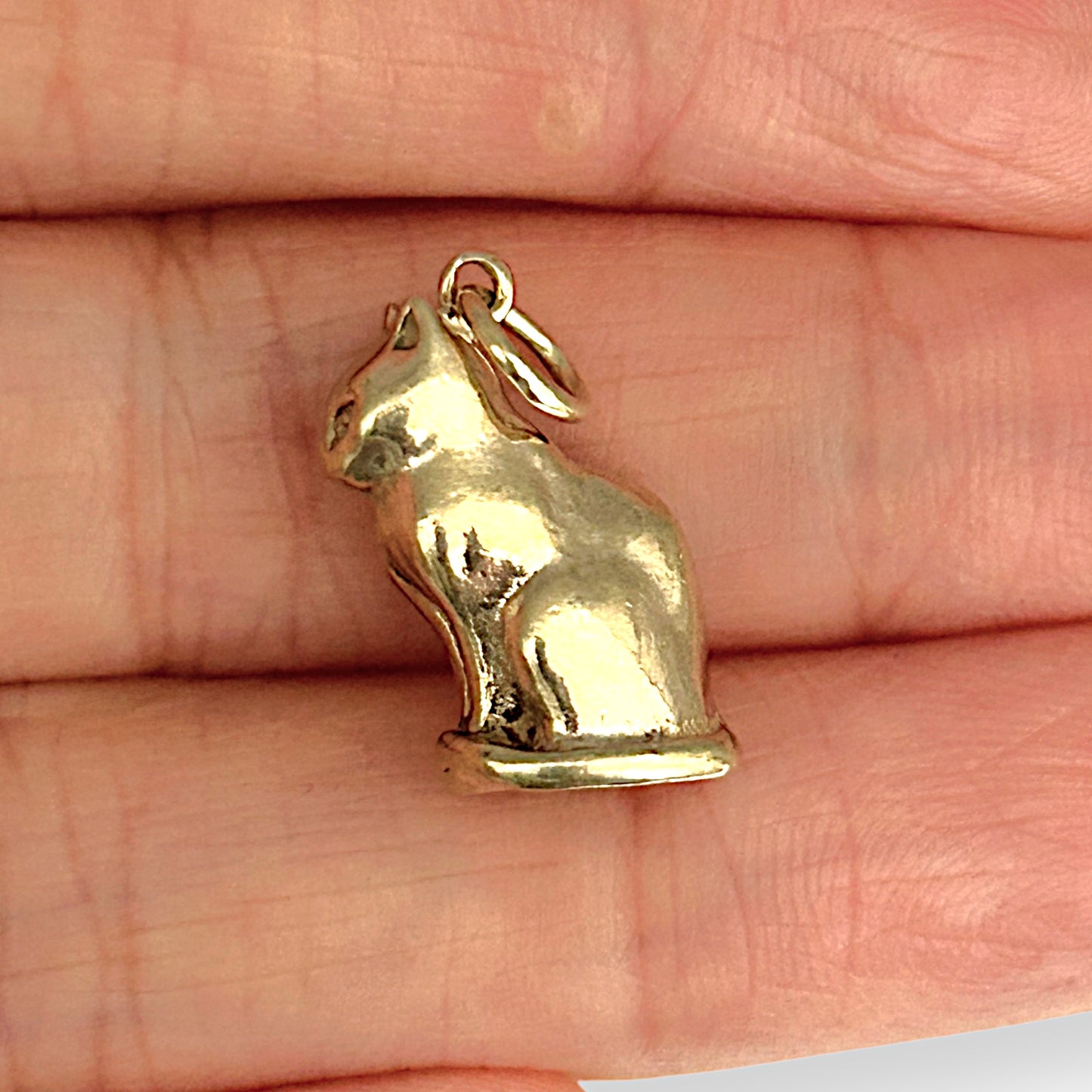 GOLD DEAL | FLASH SALE 9ct (9K) Gold Solid Built Cat Charm