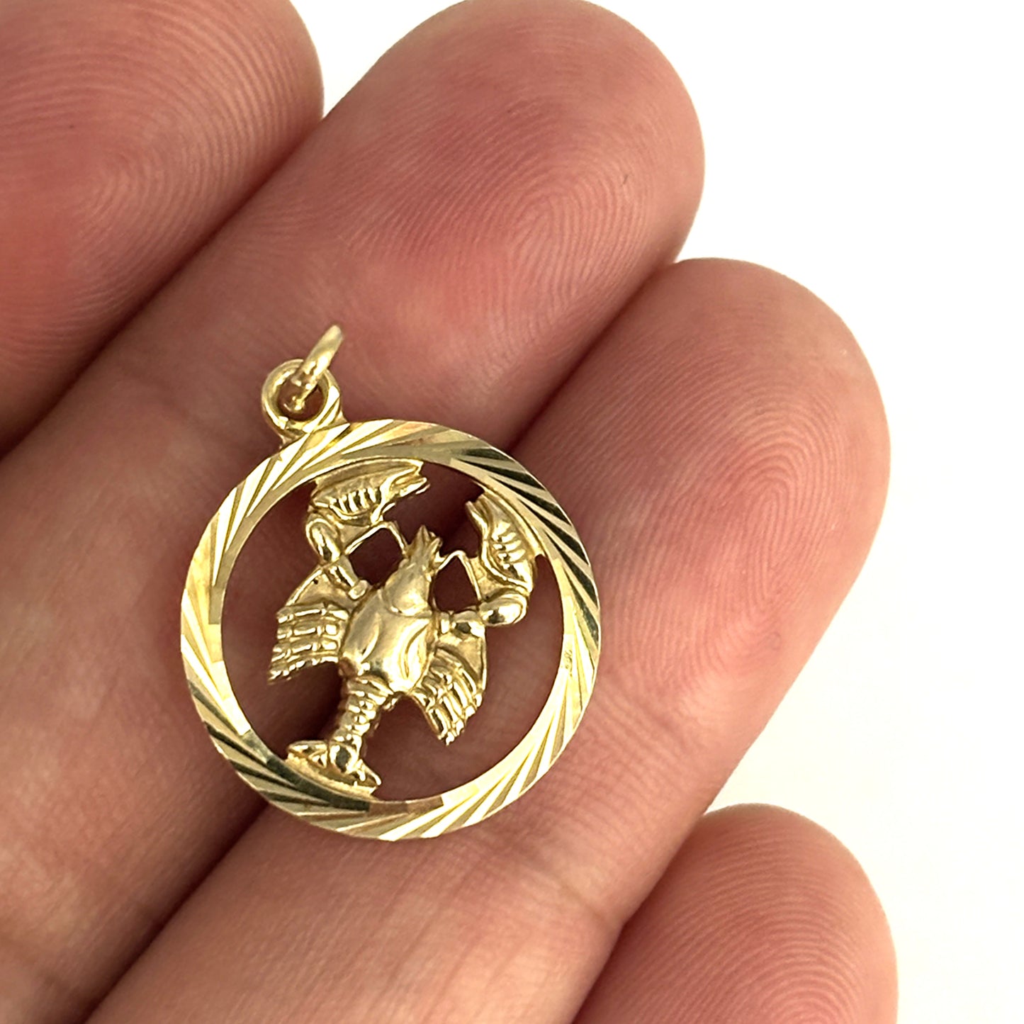 GOLD DEAL | 8ct (8K) Gold Lobster Medallion Pendant