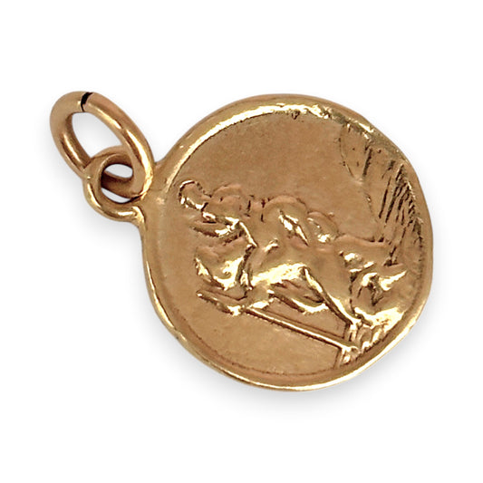 NZGD | 9ct Gold Divine Voyager Medallion