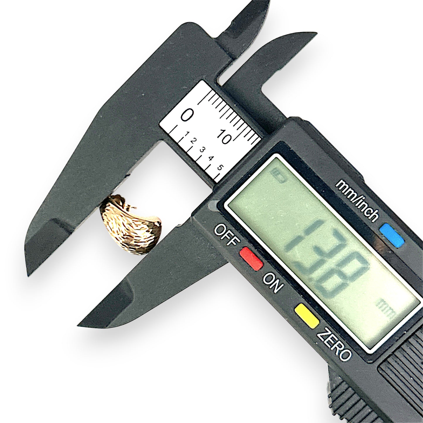 GOLD DEAL | 9ct (9K) Gold Refurbished Textured Crescent Stud Earrings