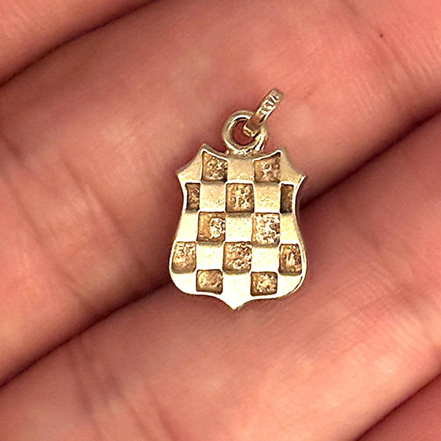 GOLD DEAL | 9ct (9K) Gold Golden Crest Shield Pendant / Charm