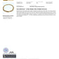 XMAS DEAL | 10kt Gold Classic Curb Luxe Bracelet by Michael Hill Valuation $9,100