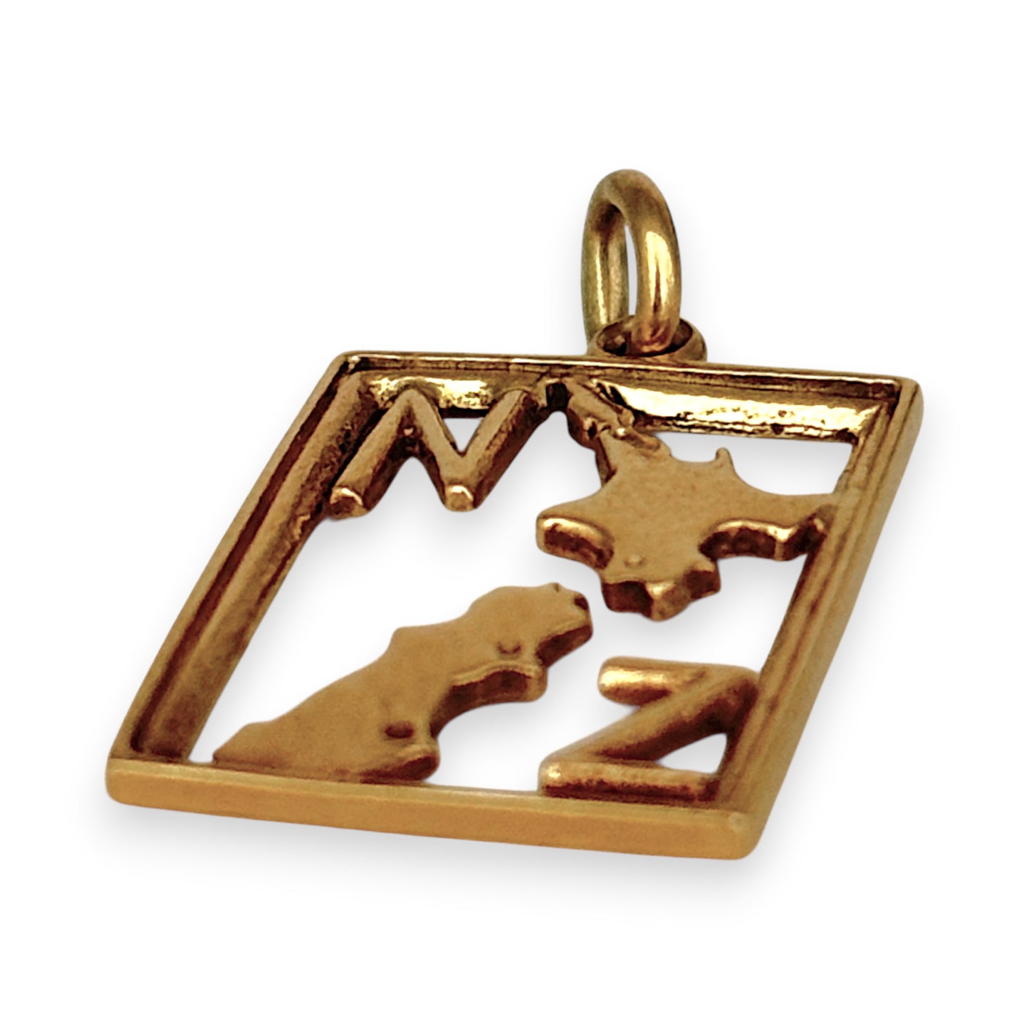 NZGD | 9ct Gold Heritage Aotearoa NZ Pendant