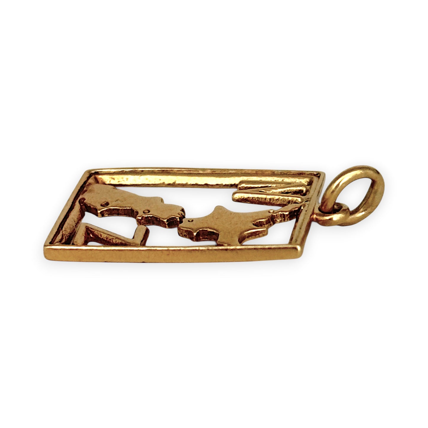 NZGD | 9ct Gold Heritage Aotearoa NZ Pendant