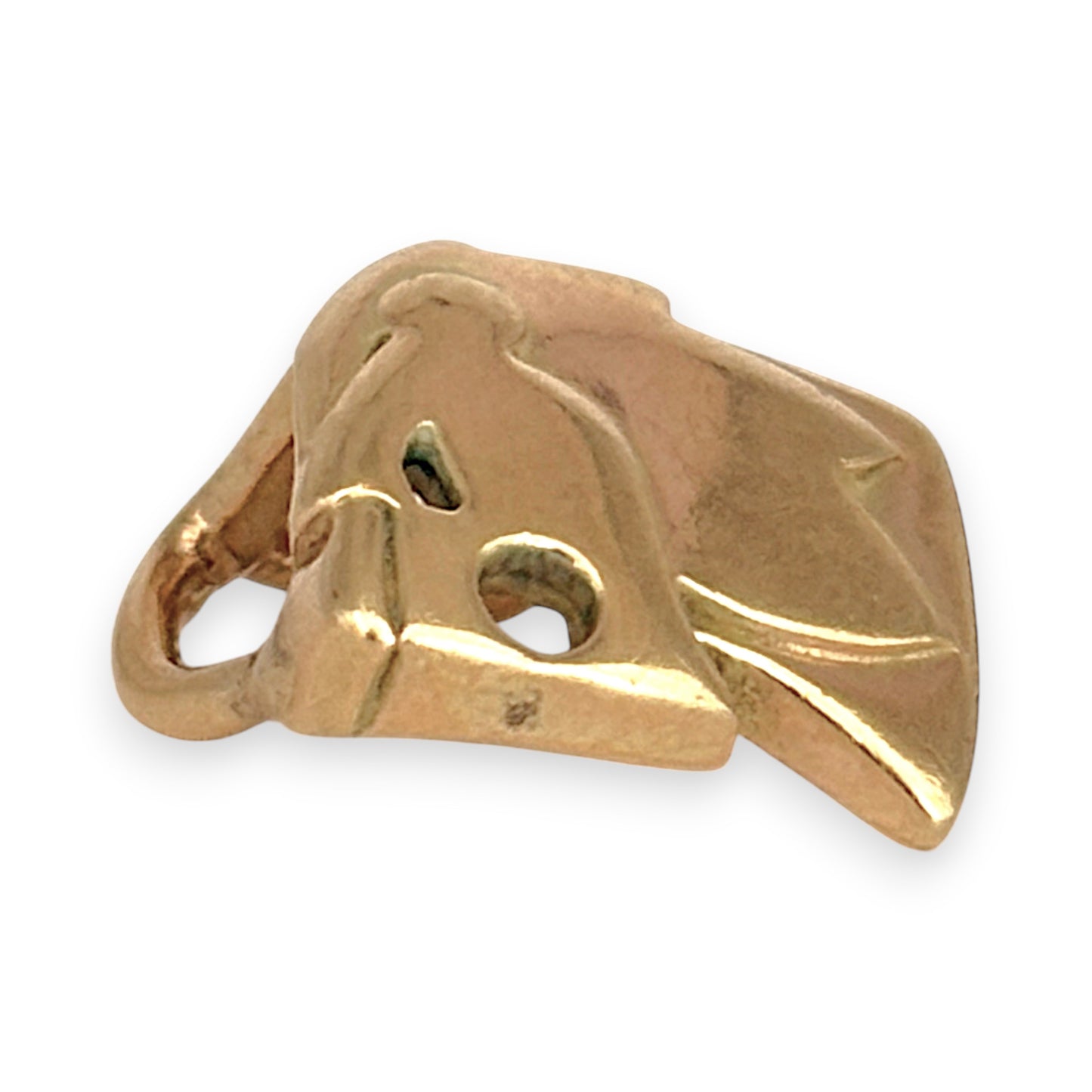NZGD | 9ct Gold Sovereign Simba Sculpted Lion Pendant