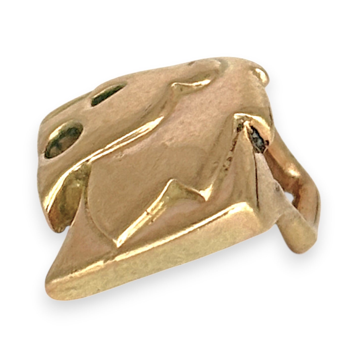 NZGD | 9ct Gold Sovereign Simba Sculpted Lion Pendant
