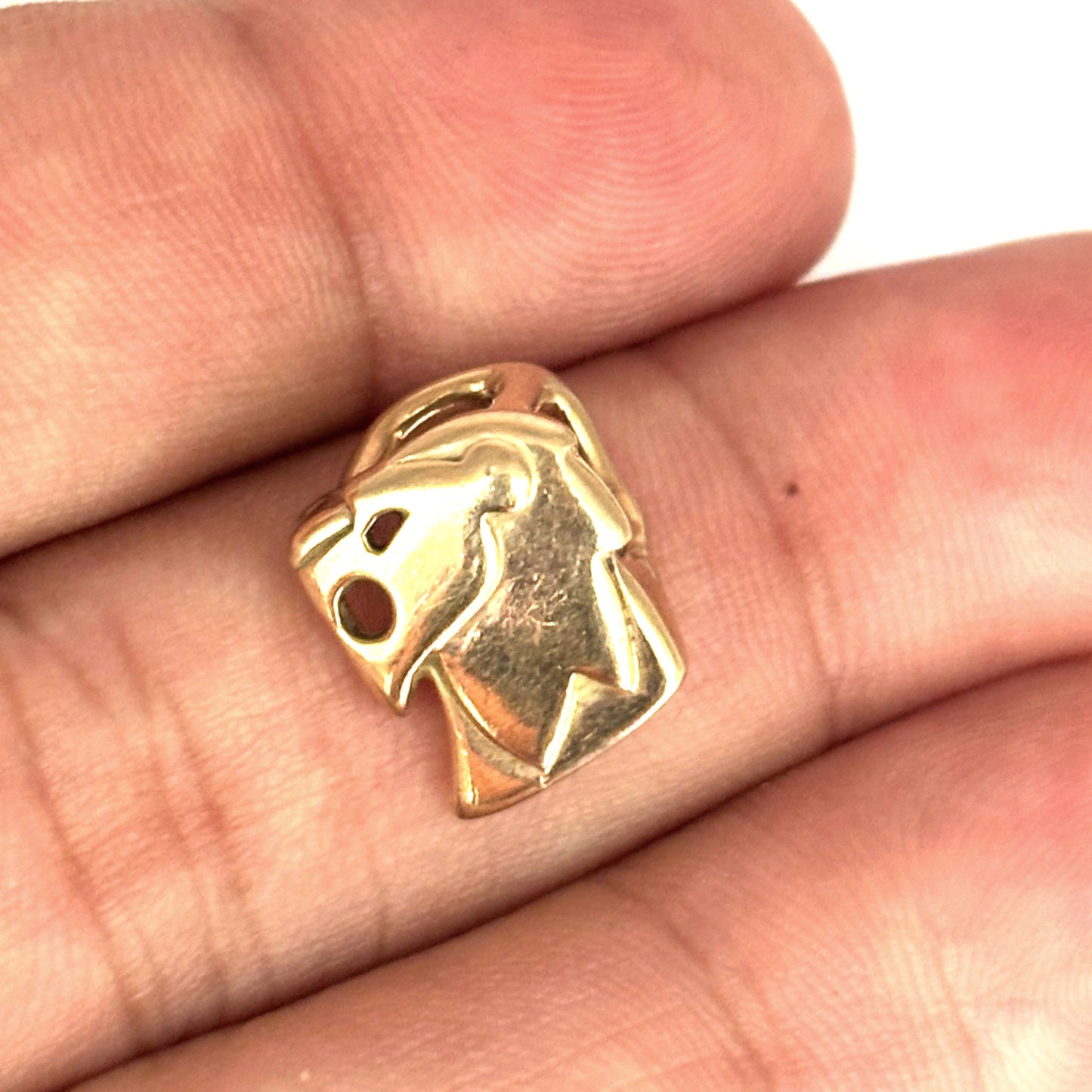 NZGD | 9ct Gold Sovereign Simba Sculpted Lion Pendant