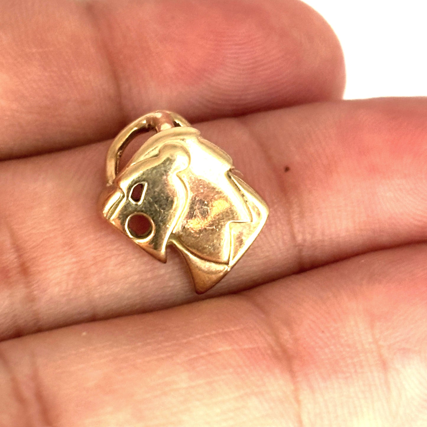 NZGD | 9ct Gold Sovereign Simba Sculpted Lion Pendant