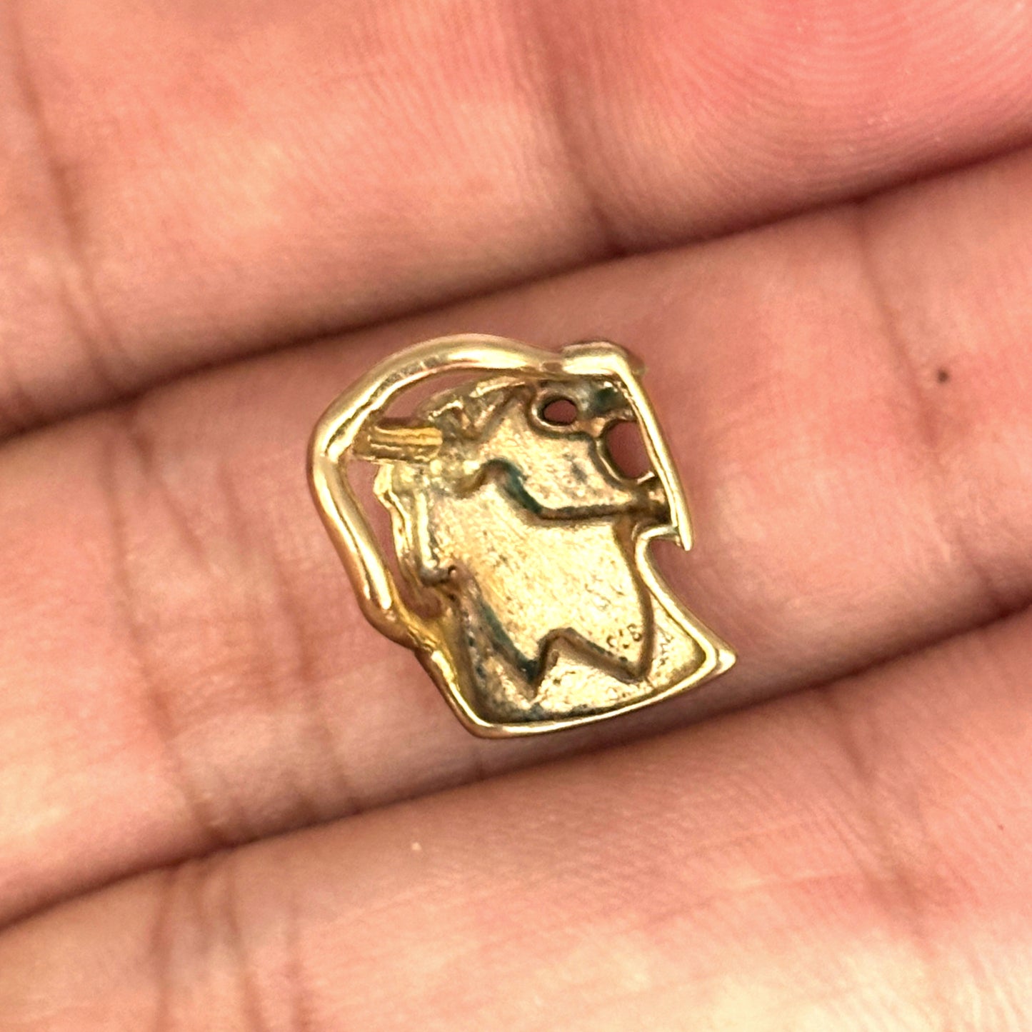 NZGD | 9ct Gold Sovereign Simba Sculpted Lion Pendant