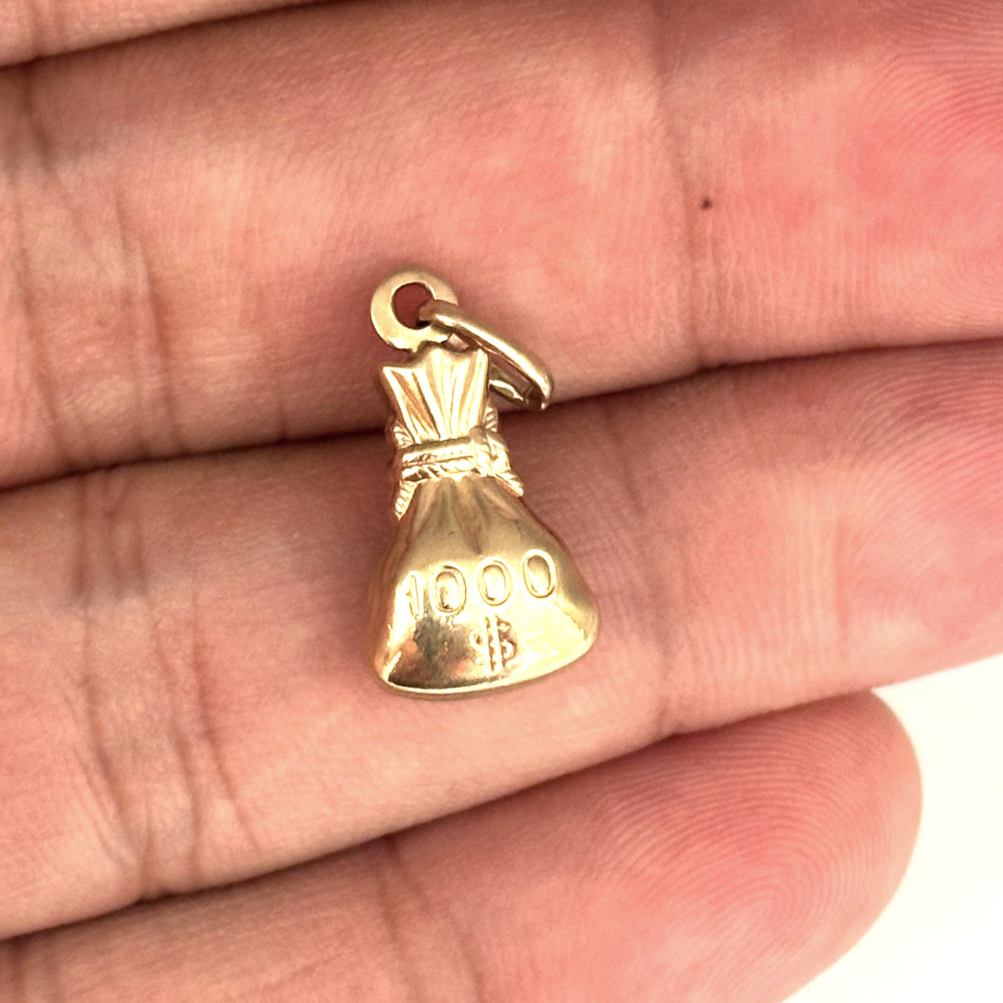 NZGD | 9ct Gold Money Bag Pendant/Charm