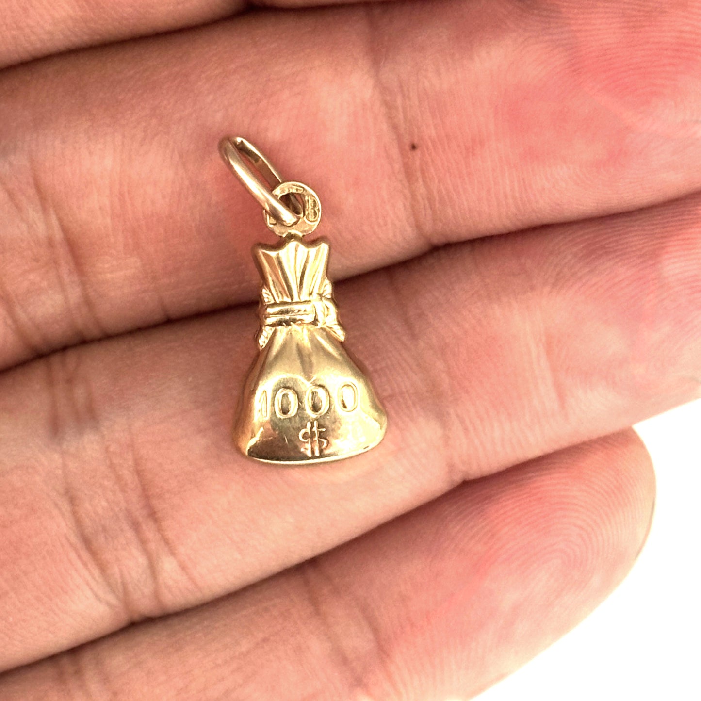NZGD | 9ct Gold Money Bag Pendant/Charm