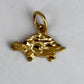 NZGD | 10ct Gold Wanderer Turtle Pendant