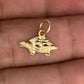 NZGD | 10ct Gold Wanderer Turtle Pendant