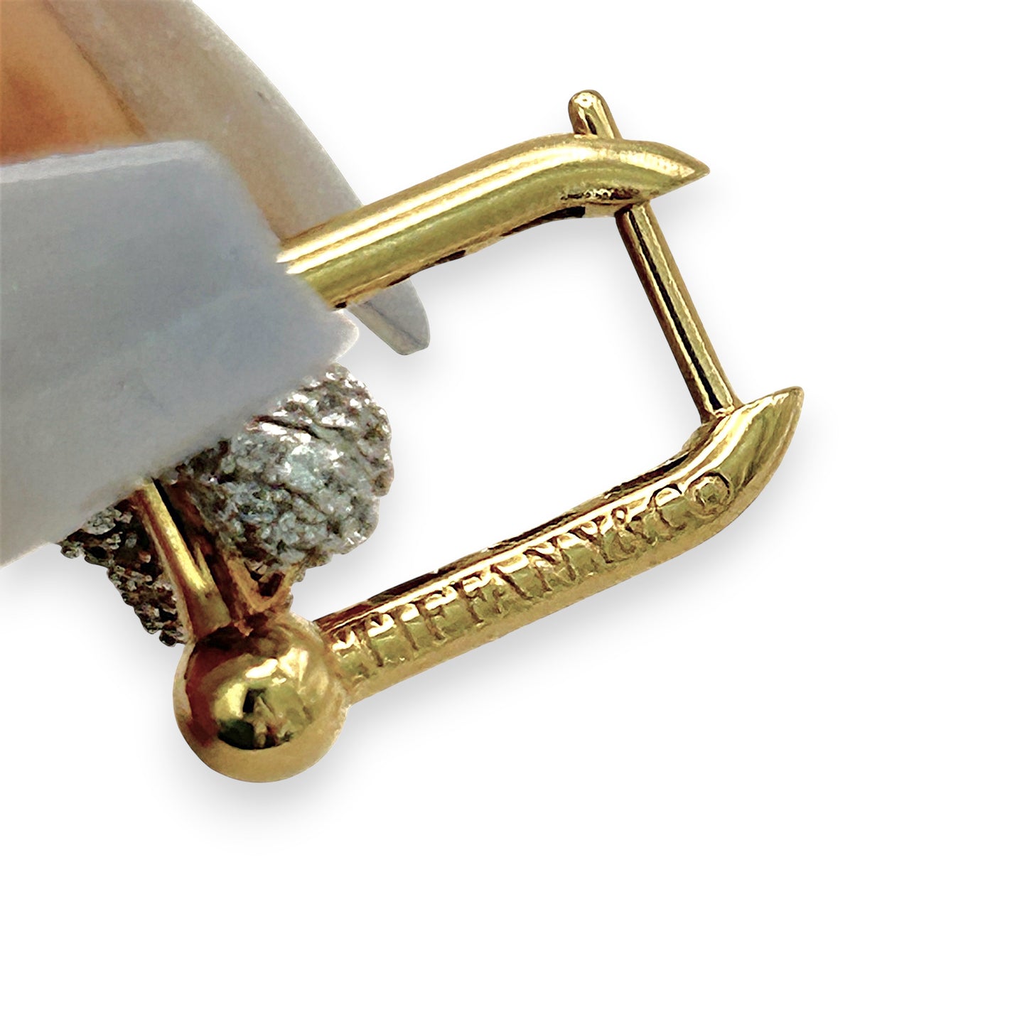NZGD | 18ct Gold Modern Luxe Curve Earrings
