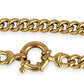 NZGD | 9ct Gold Classic Celebrated Chain 42cm