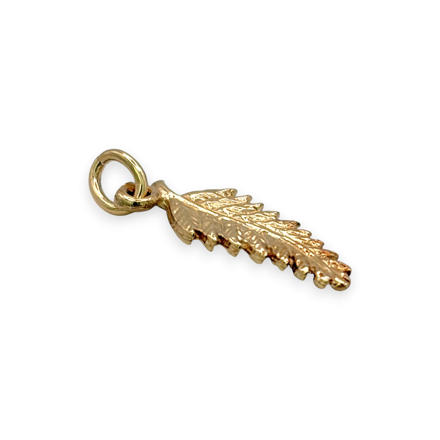 BRAND NEW | 9ct Gold Golden Silver‑Fern Spirit Charm \ Pendant