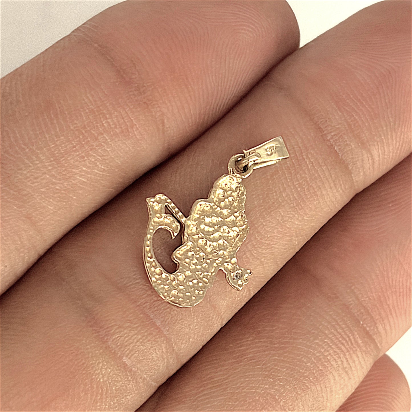 BRAND NEW | 9ct Gold Aquarius Zodiac Charm