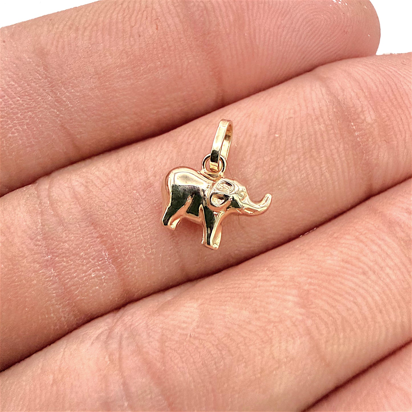 BRAND NEW | 9ct Gold Auric Trunk of Joy Charm