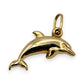 NZGD | 9ct Gold Golden Ocean Leap Charm