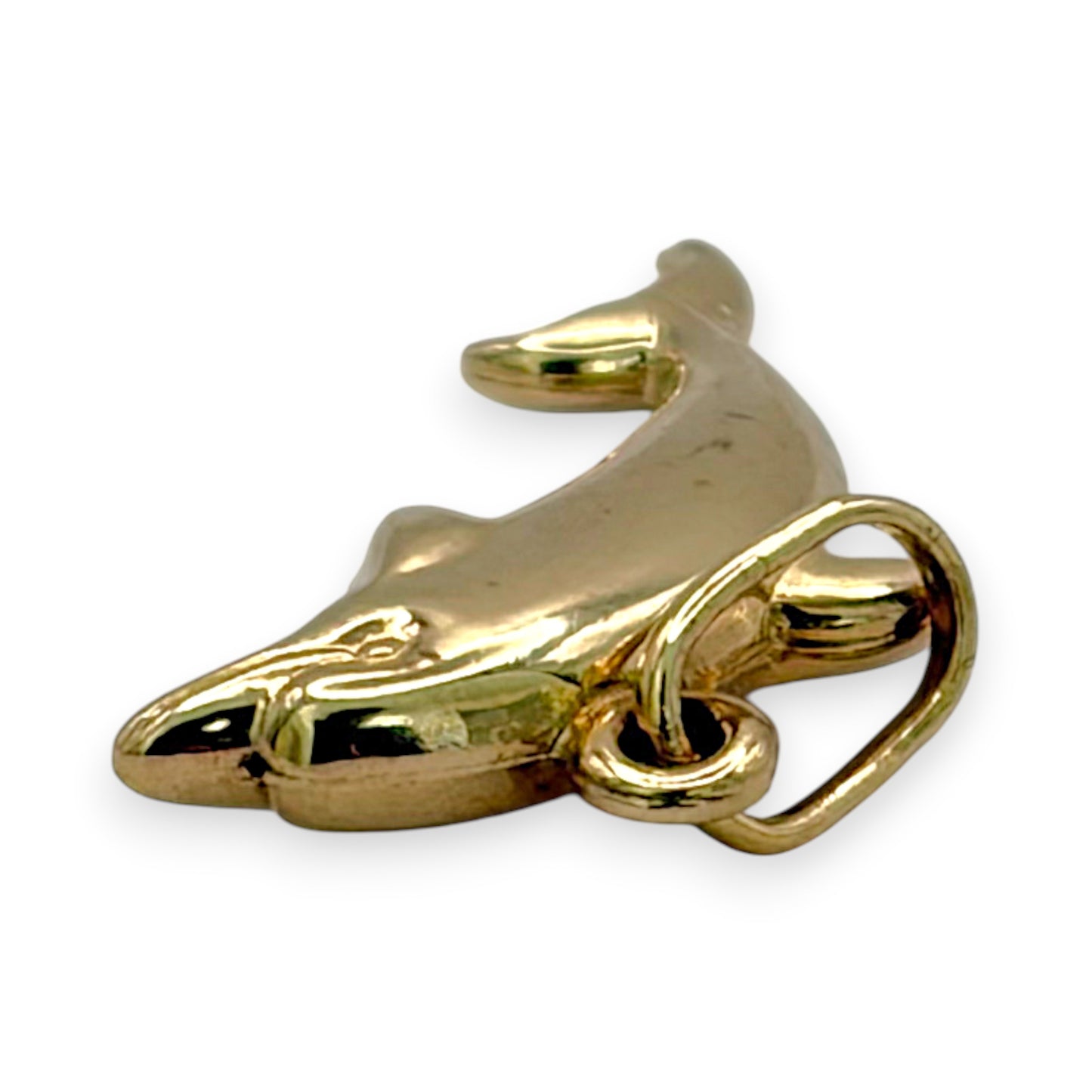 NZGD | 9ct Gold Golden Ocean Leap Charm