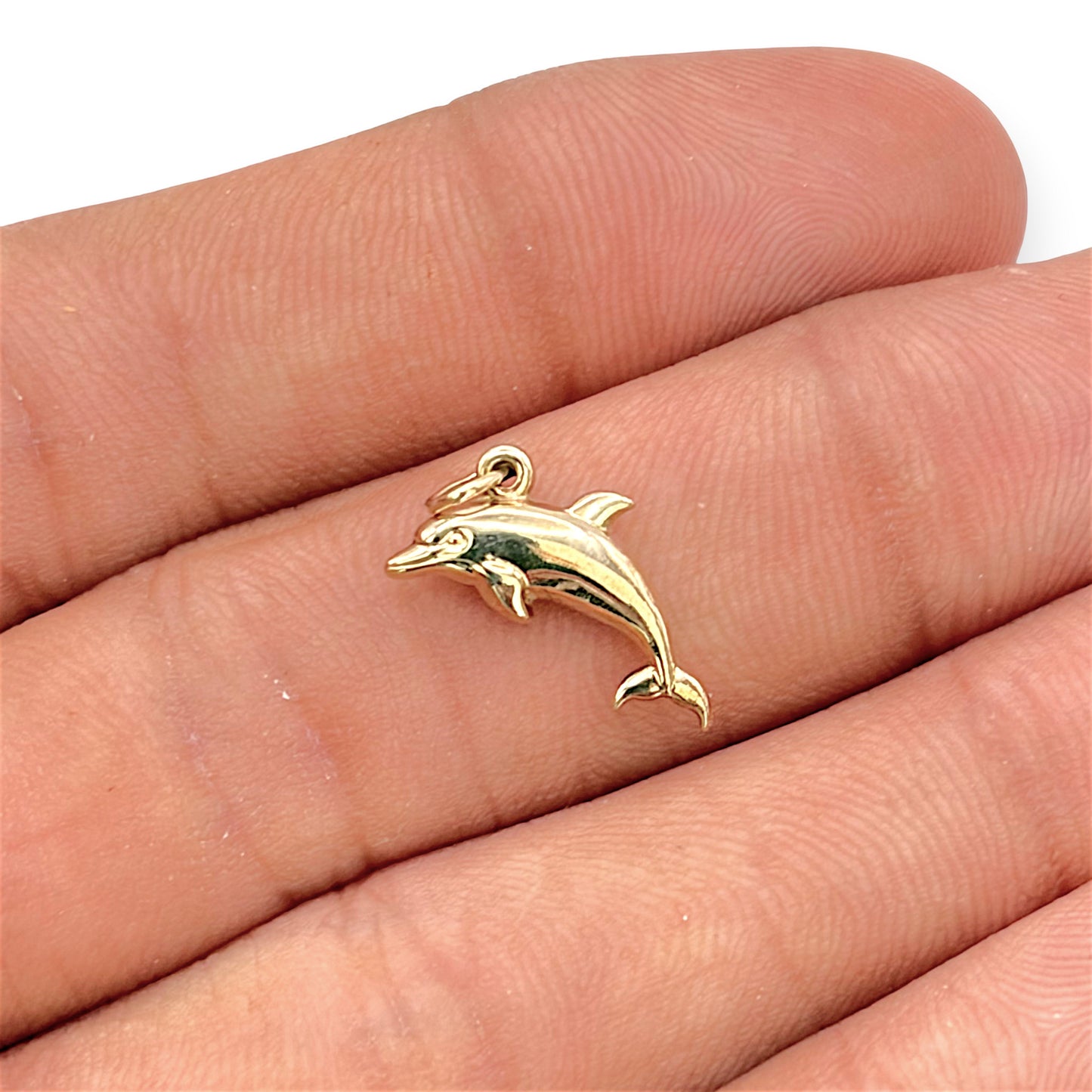 NZGD | 9ct Gold Golden Ocean Leap Charm