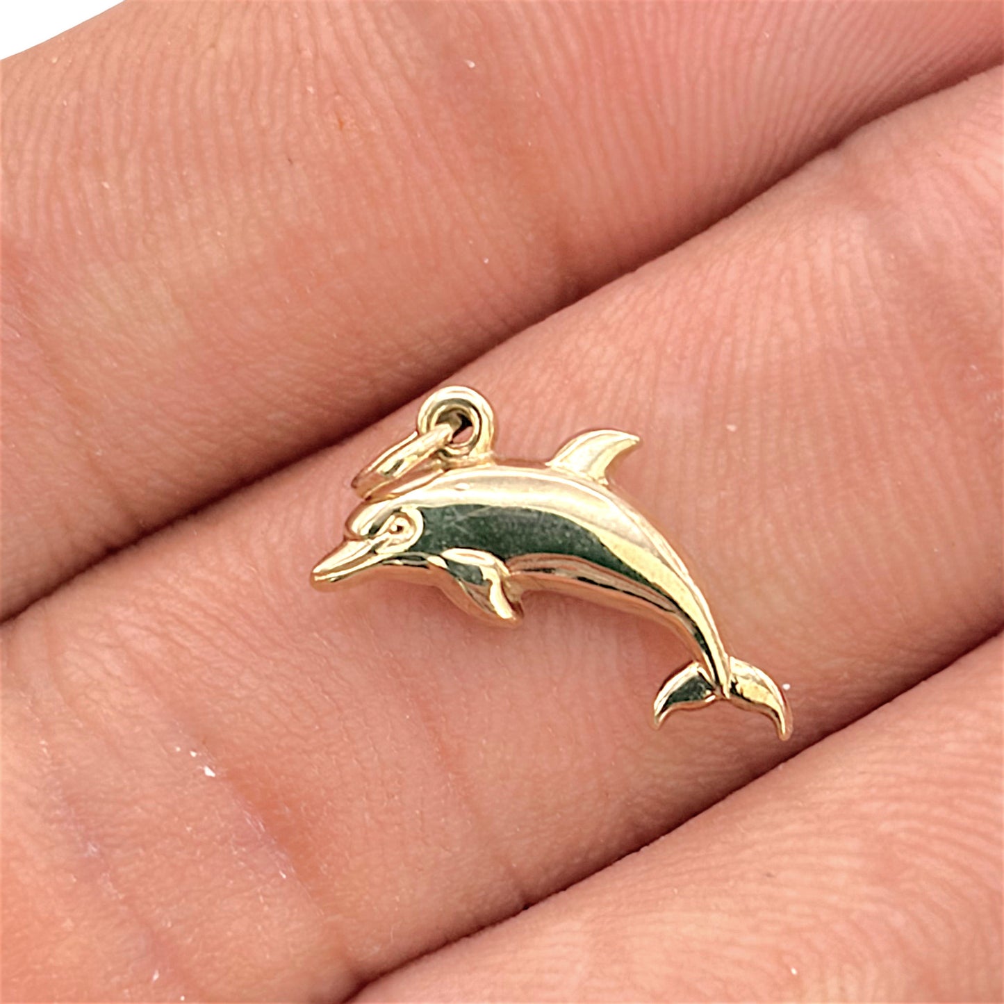 NZGD | 9ct Gold Golden Ocean Leap Charm