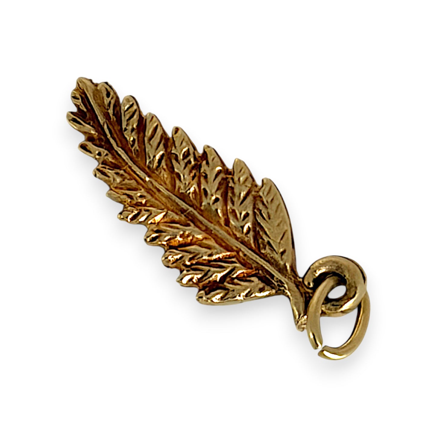 NZGD | 9ct Gold Golden Silver‑Fern Spirit Charm \ Pendant