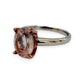 NZGD | 9ct W/R Gold Enchanted Rose Glow Ring Size O 