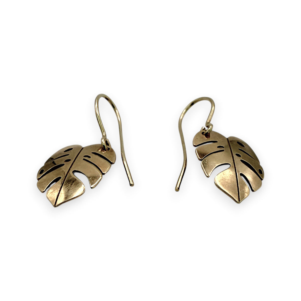 NZGD | 9ct Gold Tropical Leaf Hook Earrings