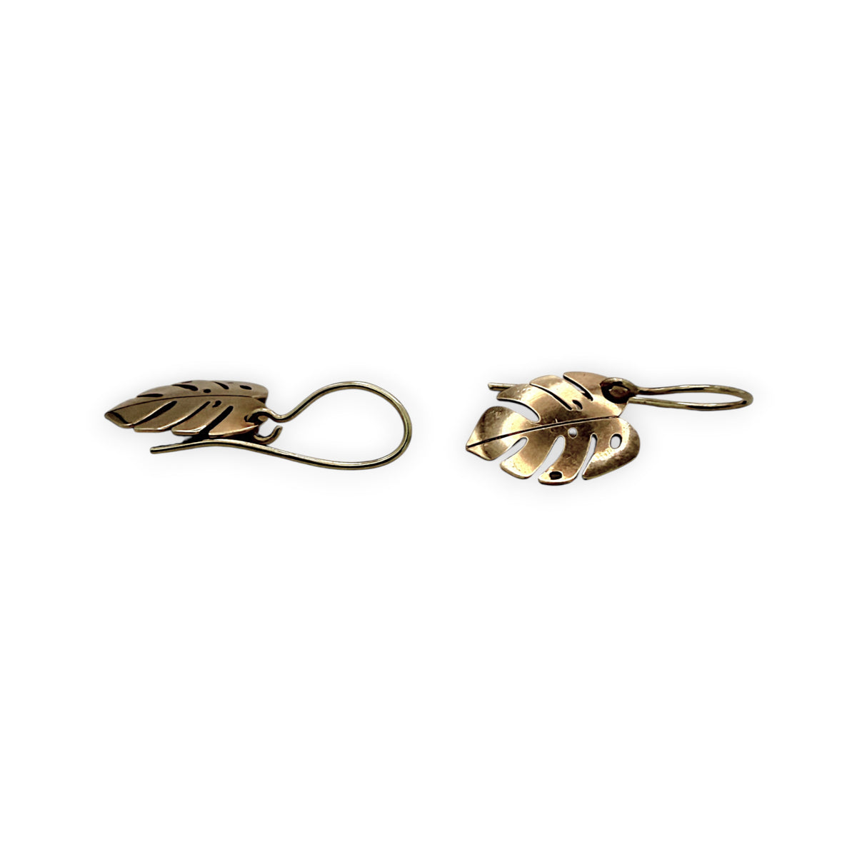 NZGD | 9ct Gold Tropical Leaf Hook Earrings