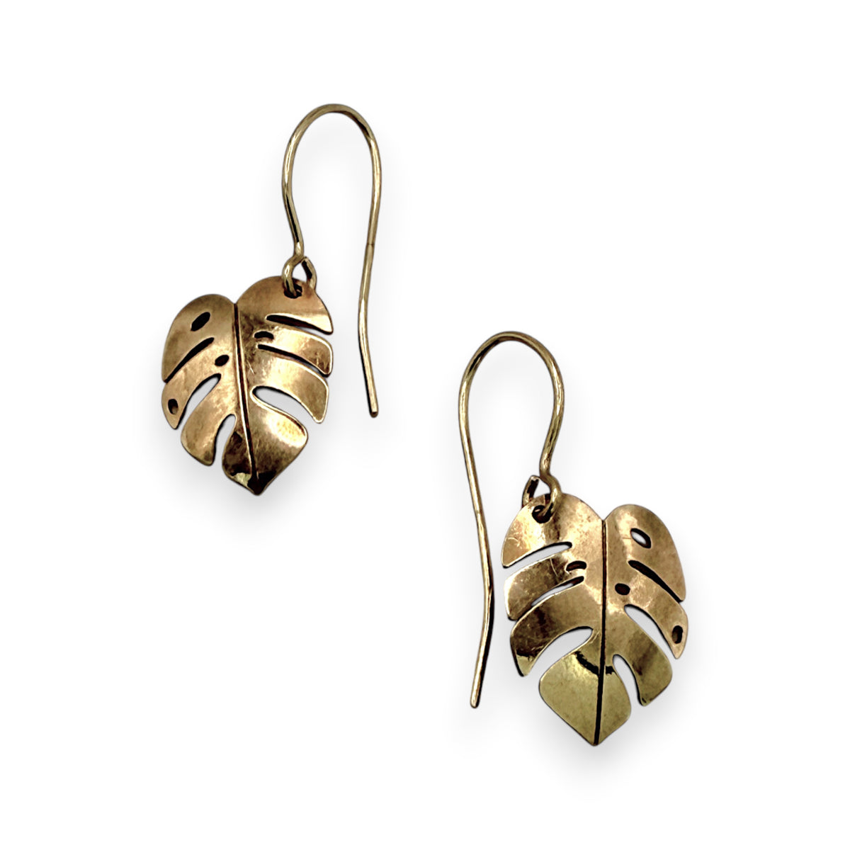NZGD | 9ct Gold Tropical Leaf Hook Earrings