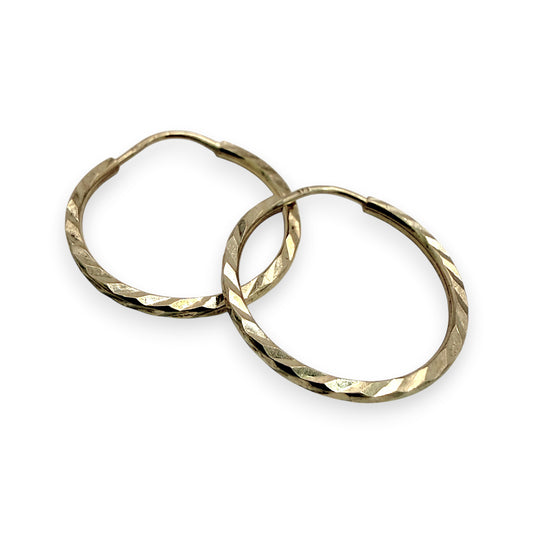 NZGD | 9ct Gold Everyday Sparkle Sleeper Earrings 17.5mm