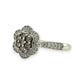NZGD | 9ct White Gold Frost‑Petal Diamond Ring Valuation $2,000